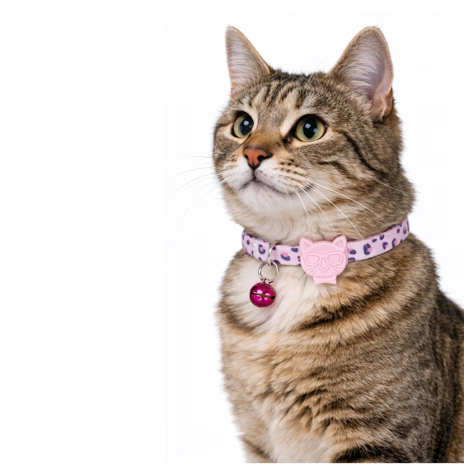 Desenli Kedi Boyun Tasması – Geri Dönüştürülmüş İplik, Güvenli Kilit Sistemli, Konforlu Kullanım, Pembe Leopar
