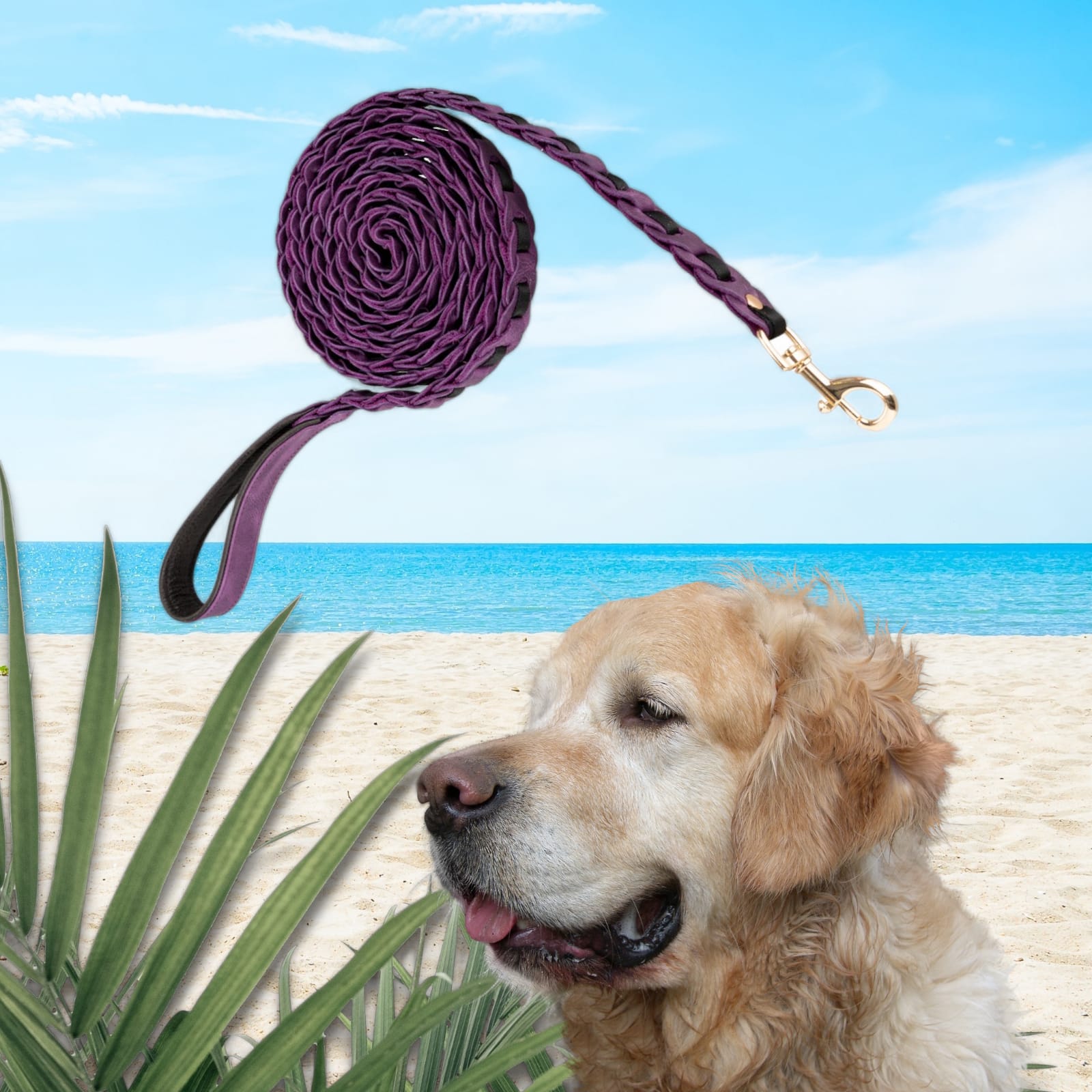 Hakiki Deri, El Yapımı Köpek Gezdirme Kayışı,215cm Uzunluk,Çelik Gemici Kancalı,Ergonomik El Tutma Sapı,Mor