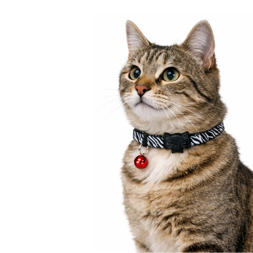 Desenli Kedi Boyun Tasması – Geri Dönüştürülmüş İplik, Güvenli Kilit Sistemli, Konforlu Kullanım, Zebra Siyah