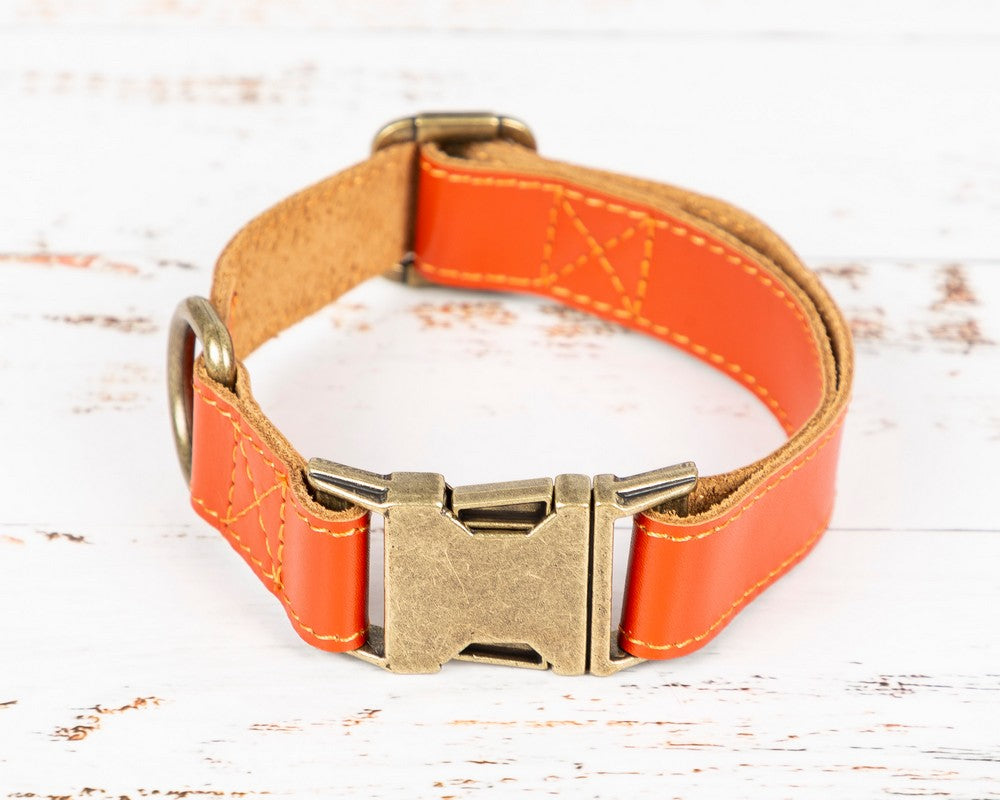 Hakiki Deri, El Yapımı Köpek Tasması, 34-50cm Ayarlanabilir Ölçü, Turuncu