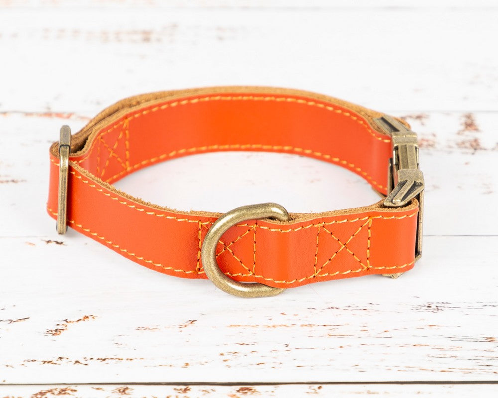 Hakiki Deri, El Yapımı Köpek Tasması, 34-50cm Ayarlanabilir Ölçü, Turuncu